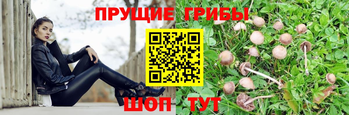Галлюциногенные грибы ЛСД Батайск